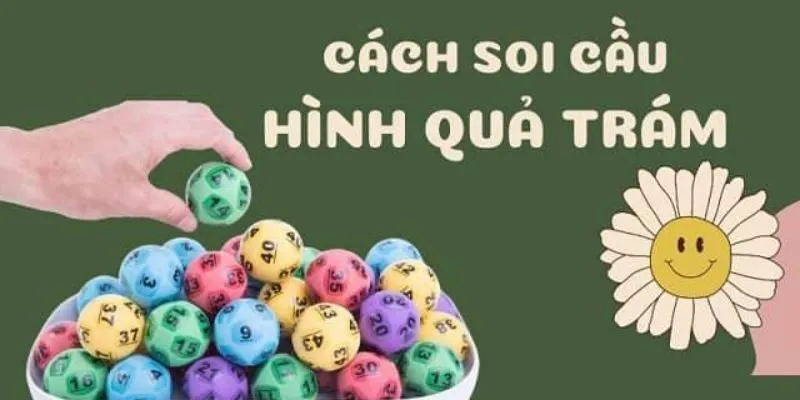 Nguyên lý hoạt động của cầu quả trám